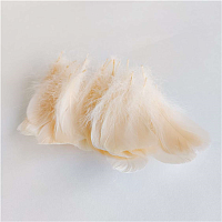 Кремовая Перья декор шампанское 100шт/3-1 2008-7250
