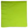 Зеленая Салфетки зеленые Киви 33см, 16 шт 1502-1096