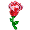 Цветы Любимым Шар фигура Цветок Роза красная 1207-4990