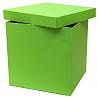 Зеленая Коробка для надутых шариков фиолет 1302-1647